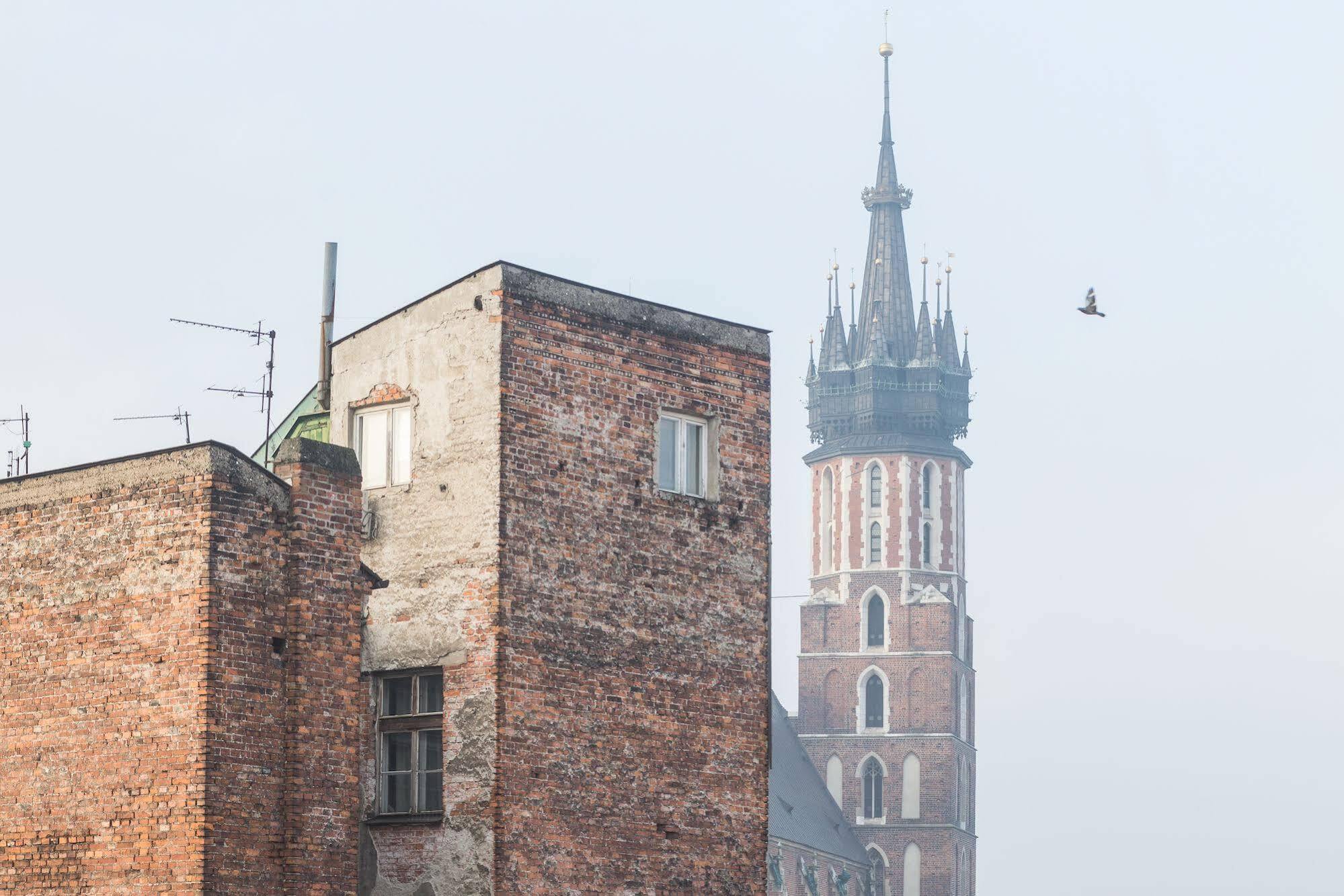 Novumhouse - Tomasza Krasków